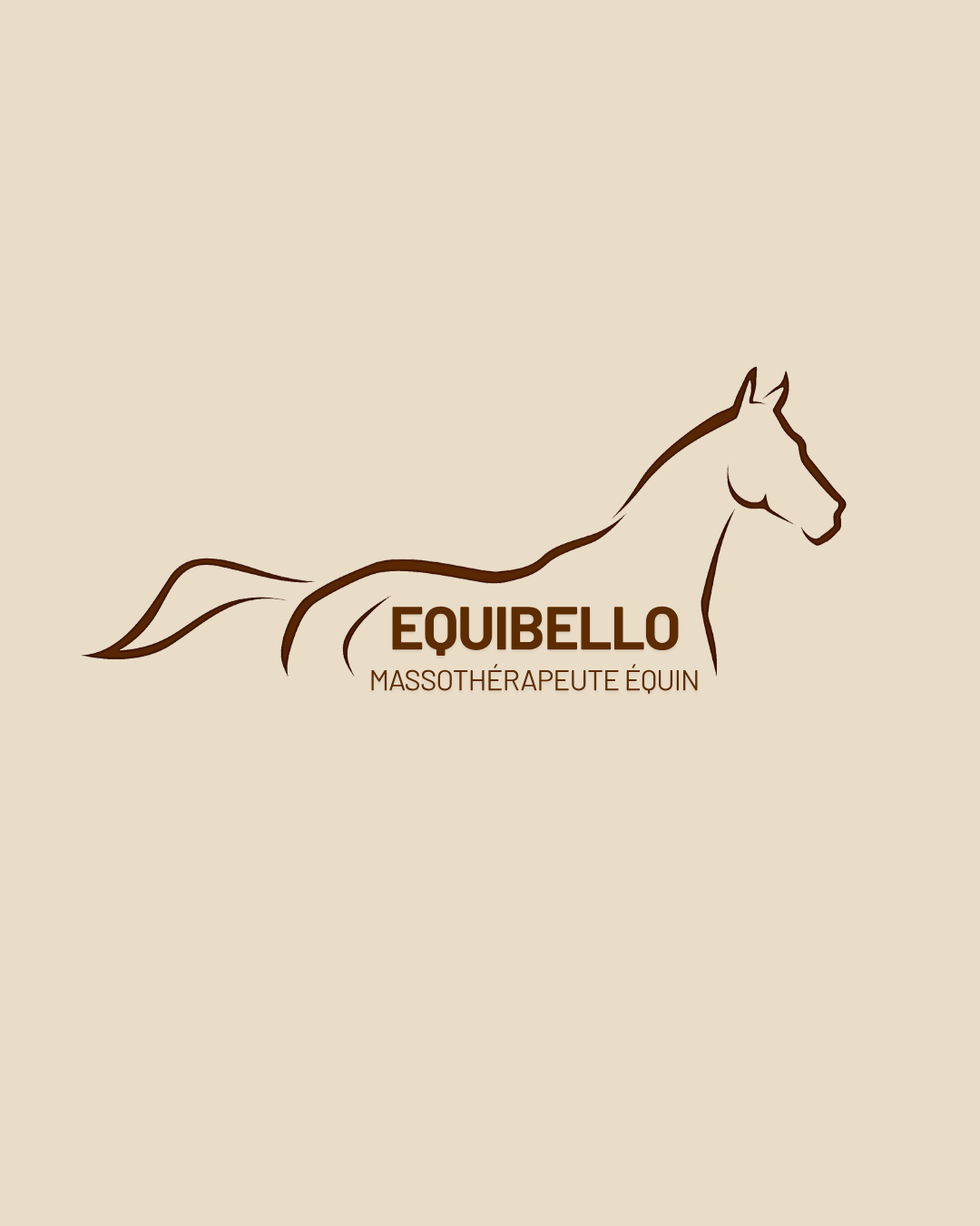 Copie-de-Bulle-story-permanente-insta-massages