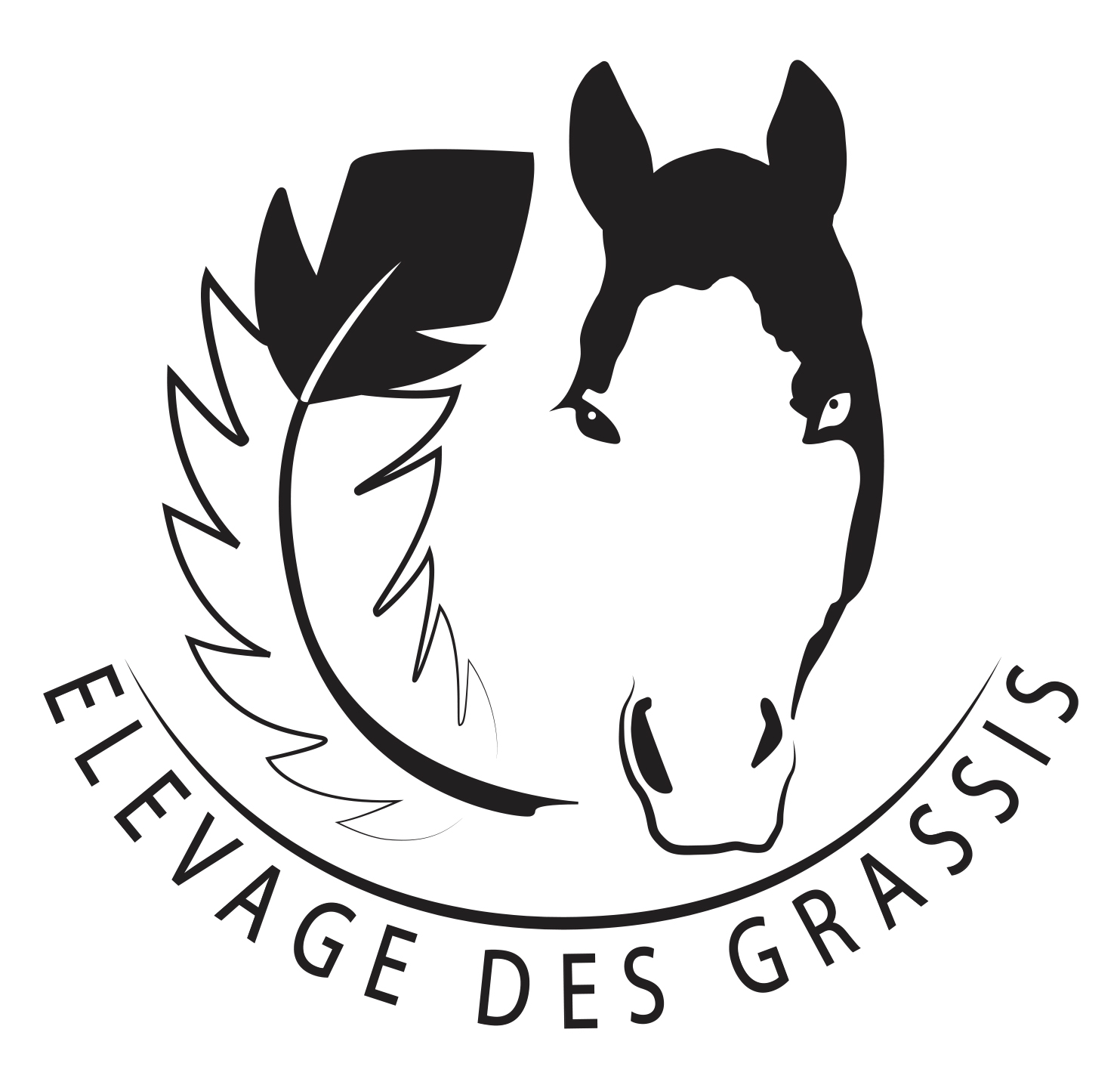 Logo-Elevage-de-Grassis-avec-fond