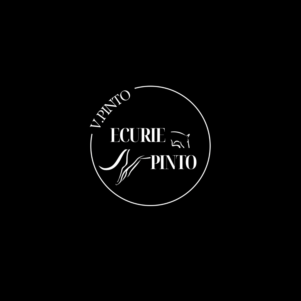 Pinto-logo-2
